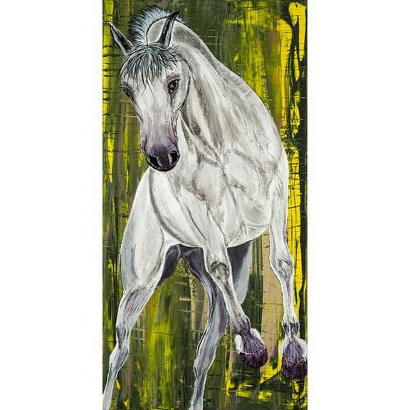 "Balthazar Lipizzan Horse" Painting Print on Wrapped Canvas