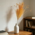 thumbnail image 6 of RKSTN Orange Dried Pampas Grass Decor, Short Artificial Pompous Grass for Gothic Room Decoration, Wedding, Home and Valentines Decoration, 6 of 6