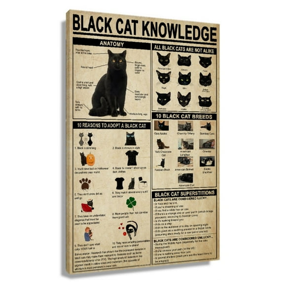 Black Cat Wall Art Knowledge Poster Educational Wall Art Infographic Poster Decorative Picture Decorations Giclee Prints Rectangle Painting for Living Room Framed 20x30 in