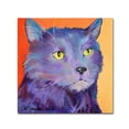 thumbnail image 2 of Trademark Fine Art "Frenchy" Canvas Art by Pat Saunders-White, 2 of 4