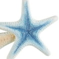 thumbnail image 4 of DecMode Brown Metal Layered Starfish Wall Decor with Blue and Red Accents, 4 of 10