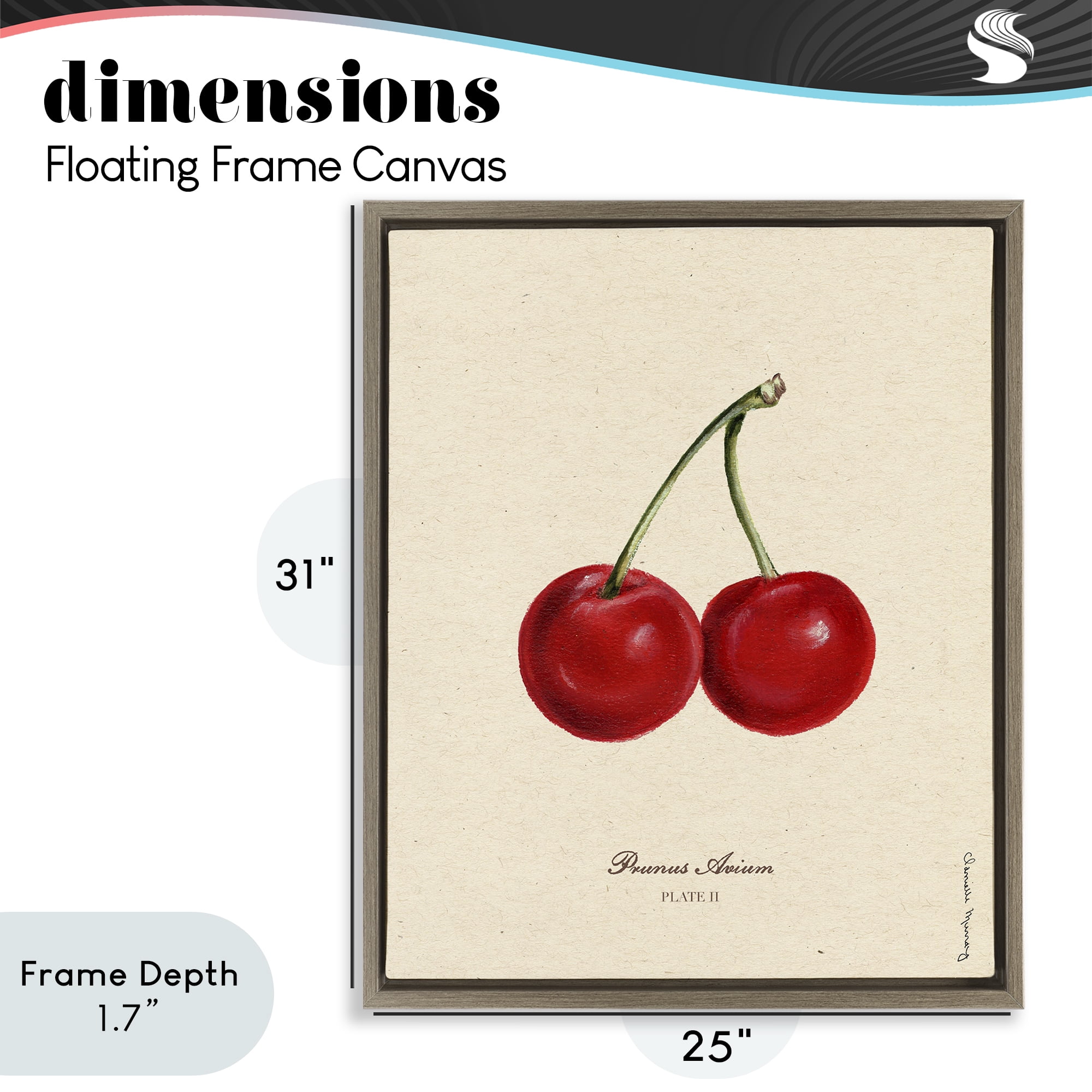 Stupell Industries Cherry Fruit Portrait Brown Framed Floater Canvas Wall Art, design by Danielle Murray