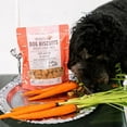 thumbnail image 2 of Dexypaws: Salmon & Carrot Dog Biscuits - 12oz Bag, Pet Treats, All Natural Simple Ingredients, Snack-Training-Reward, Protein, Omega-3 & Vitamin Rich, 2 of 8