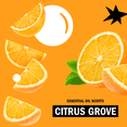 thumbnail image 6 of Molly’s Suds Fabric Softener Liquid for Sensitive Skin | Vinegar-Powered | Citrus Grove, 50 Loads, 6 of 7