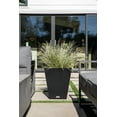 thumbnail image 3 of NOB22 PLNTR BL(X2) - FRENCH, 3 of 9