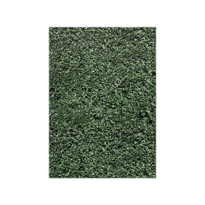 Teacher Created Resources Better Than Paper Bulletin Board Roll, Green (TCR77448)