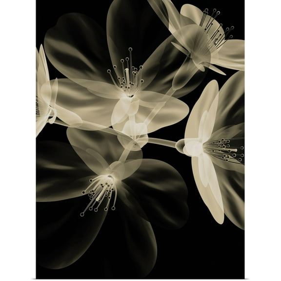 Great BIG Canvas | "Botanical Study IV" Art Print - 18x24