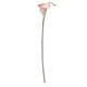 thumbnail image 5 of Cateissary Calla simulada llamativa de PU: agregue elegancia a la decoración del hogar con una gran plenitud y simulación en 3D y una alta Type11 NO11, 5 of 6