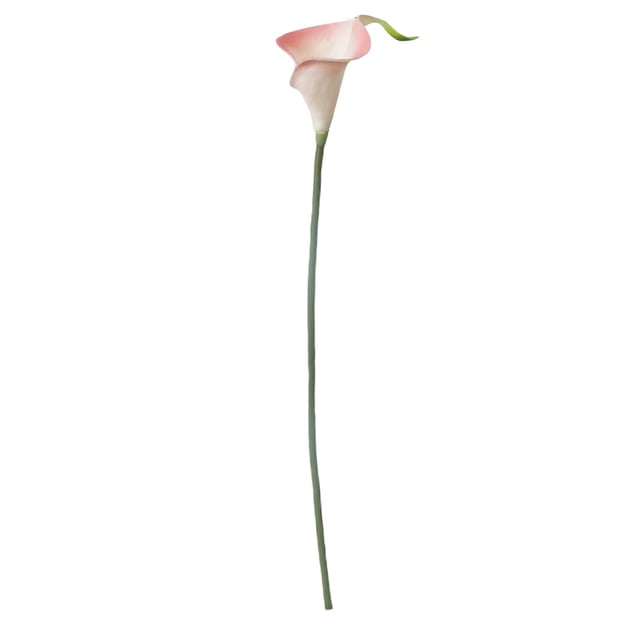 Toystoory Simulación de cala Elija y estilos Brillante simulado Calla rosa verde Type1 NO1