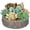 Artificial Tree Stump - Pot, variant on Premium Assorted Artificial Succulent Collection - Large Real Touch Artificial Cactus, Aloe Vera & Succulent Plants Artificial with Pots for Home Office Indoor (Artificial Glass - Pot)