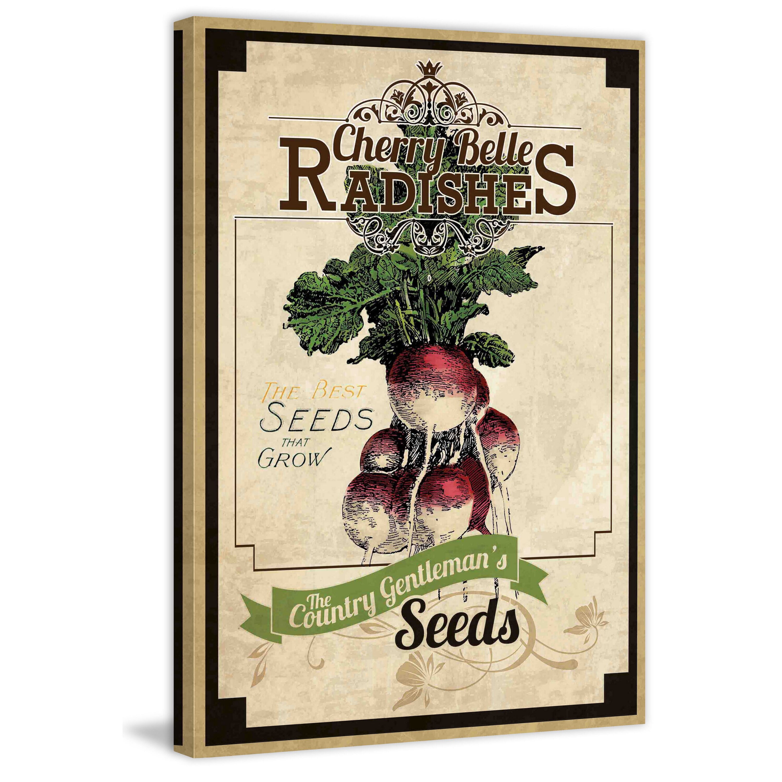 Marmont Hill "Seed Packet Radishes" Painting Print on Canvas