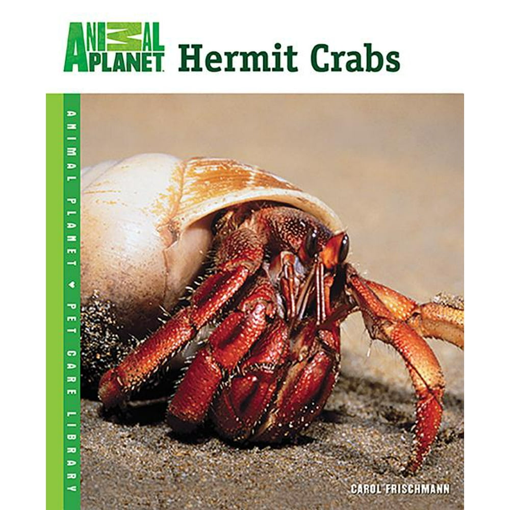 Hermit Crabs