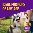 thumbnail image 2 of Wellness Rewarding Life Dog Treats, Natural, Training Treat, Grain Free, Soft Lamb & Salmon (6 Ounce bag), 2 of 7