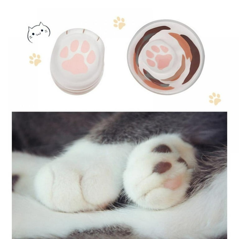 Kawaii Dog Puppy Frosted Can Glass Cup Kawaii Cup Frosted 