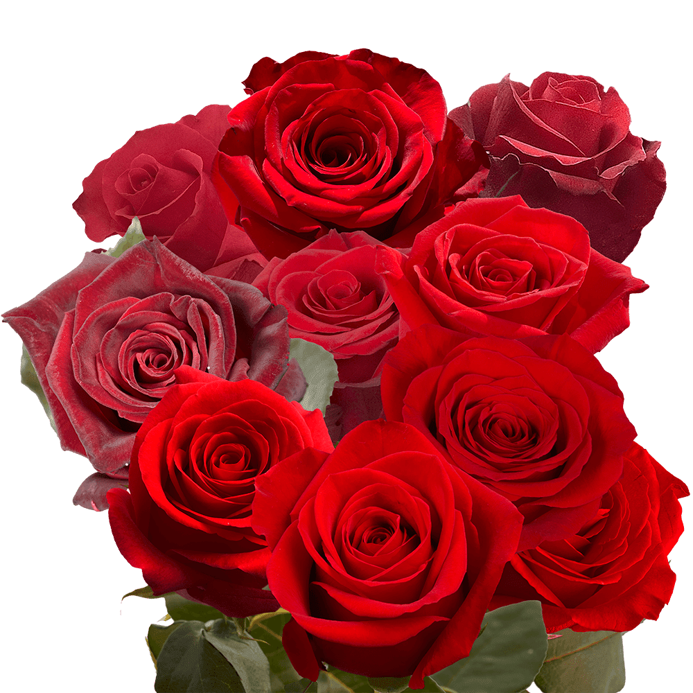 100 RED ROSES BOUQUET Flower Delivery Las Vegas NV - Vegas Rose Flowers