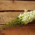 thumbnail image 2 of Select Artificials 37" Pale Green and White Foxtail Floral Artificial Crafting Stem, 2 of 3