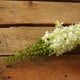 Northlight 37" Tige Florale Décorative Foxtail Artificielle Vert Clair et Blanc – image 2 sur 3