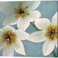 thumbnail image 2 of Great Art Now Lily Parfait by Janel Pahl 2 Piece Canvas Art Set Each 14W x 14H, 2 of 3