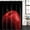 Red, variant on Polyester Fabric Purple Fruit Shower Curtain, Modern Minimalist Decor Black Background Waterproof Bathtub Curtain Bathroom Decor Set with Hooks 36 x 72 Inches