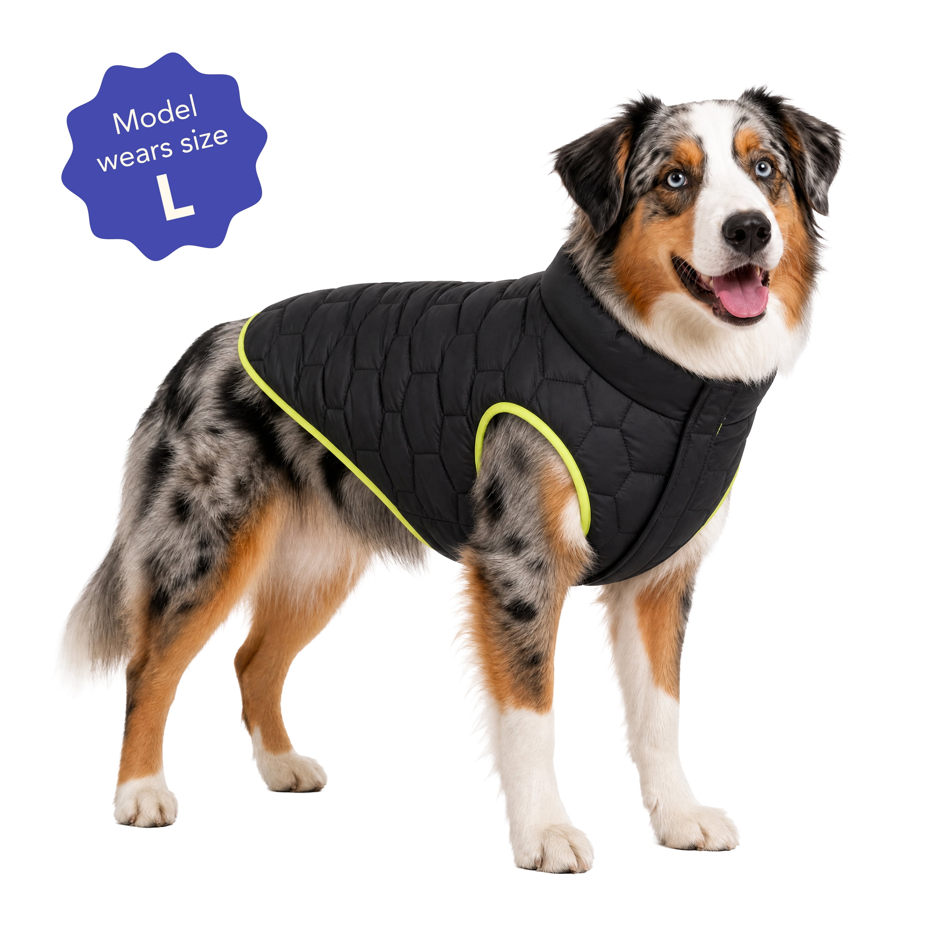 Oodles Quilted Fall Puffer Dog Jacket, Black, Large