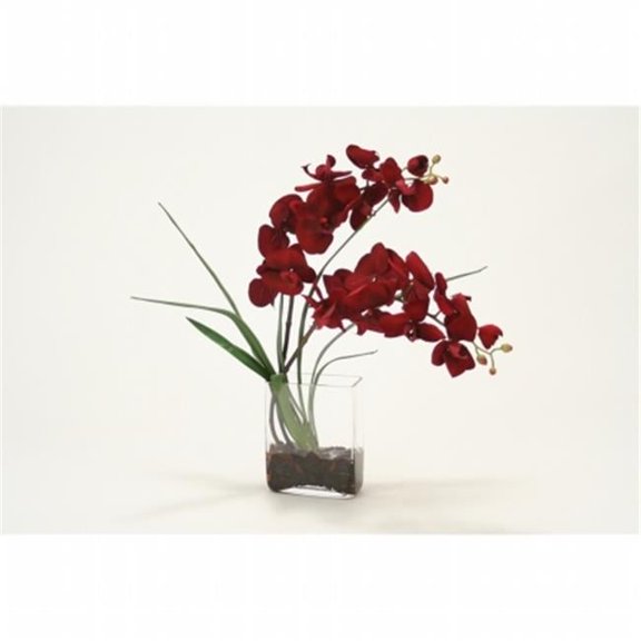 Distinctive Designs International 17001 Red Velvet Phalaenopsis Orchid In Glass Vase