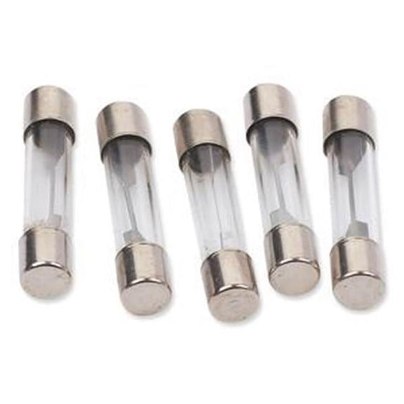 10A AGC Fuses - Pack of 5