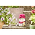 thumbnail image 2 of Osmocote 274150 Plus Outdoor and Indoor Smart Release Plant Food and Fertilizer 12 Pack, 1 lb, 2 of 5