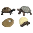thumbnail image 4 of Modelo de Ciclo de Vida de Tortuga, Proyecto de Ciencia de Aprendizaje, Herramientas de Enseñanza, Regalos de Cumpleaños, Modelo de Biología, Preescol, 4 of 8