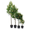 thumbnail image 3 of MDR Trading Inc. AB-27-VALENCIA-01-ORANGE Mini Orange Tree Faux Plants And Trees, 3 of 3