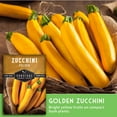 thumbnail image 5 of 5 Packs Golden Zucchini Seeds - Non-GMO Heirloom Full Sun Annual Vegetable, 5 of 8