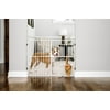 Carlson Pet Products Metal Expandable Dog Gate, White, 38"L x 2"W x 32"H