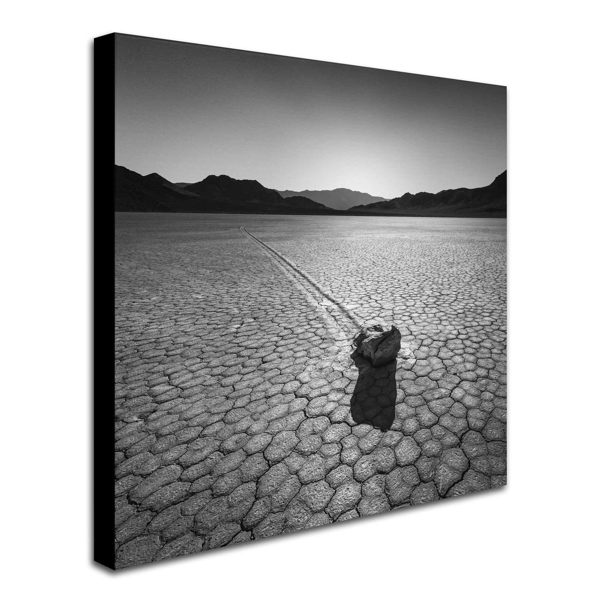 Dave MacVicar 'Sailing Stone' Huge Canvas Art 35 x 35