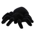 thumbnail image 3 of Peluche Aurora Mini Flopsie Tod Tarantula 20.32cm, 3 of 4