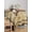 Light Brown Tan Brown, variant on Brown Texas Star Country Table Cloth, Western Stars Retro Waterproof Tablecloth for Square Tables, Reusable Washable Fabric Table Cover for Restaurant Kitchen Dining Tables 54"x54"