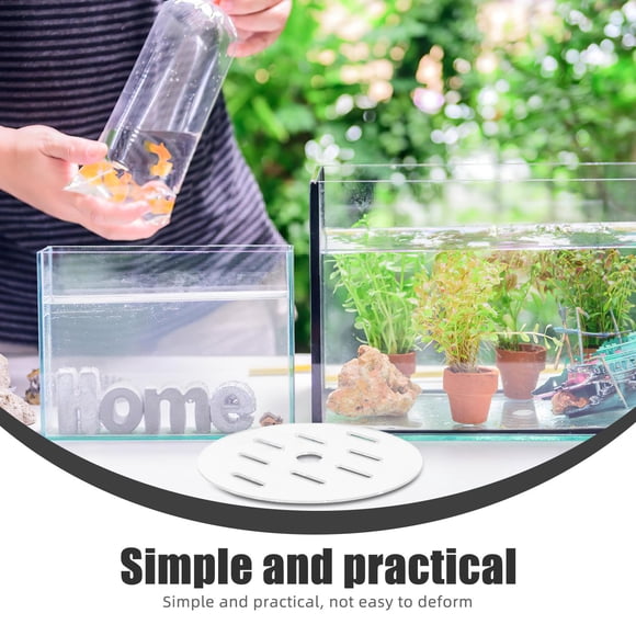 Phenofice Accesorio Para Acuario De Acrílico Transparente Para Y Protección Efectiva Del