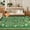 Green, variant on GlowSol 10x13 Black Tropical Polyester, Ultra Thin Washable Non Slip Low Profile Area Rug for Living Room Bedroom Office