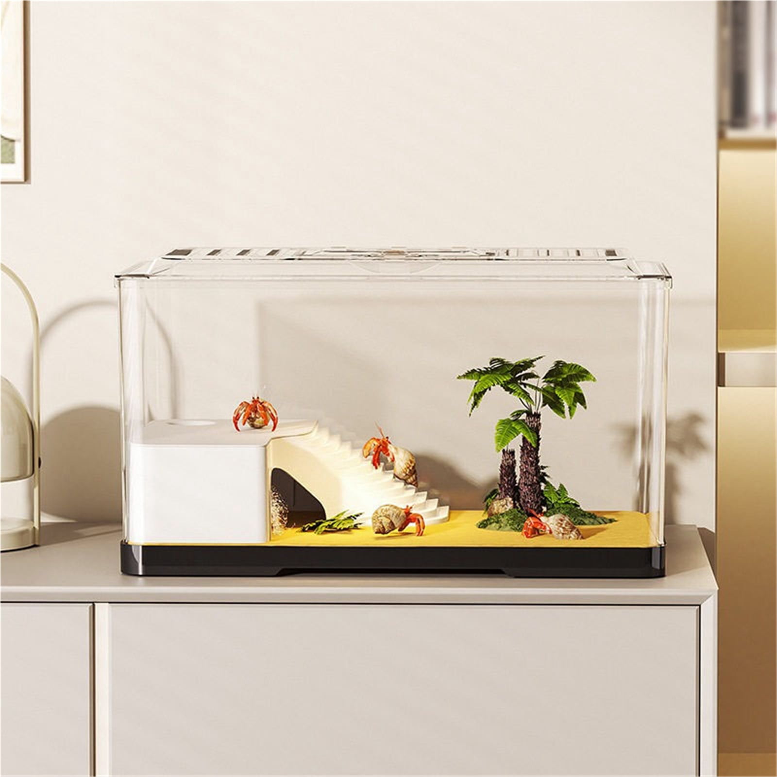 Transparent Turtle Viewing Tank Desktop Aquarium for Feeding and Observation