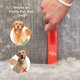 thumbnail image 2 of Cepillo Removedor De Pelos Lilly Brush Be Forever Furless, 2 of 6