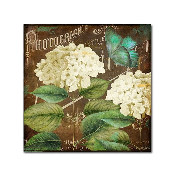 Trademark Fine Art "Alabaster Hydrangea" Canvas Art by Color Bakery