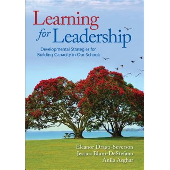 Pre-Owned Learning for Leadership: Developmental Strategies for Building Capacity in Our Schools (Paperback)