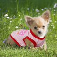 thumbnail image 2 of Ropa para perros, 4 piezas, para perros pequeños y niñas, color rosa, 2 of 6