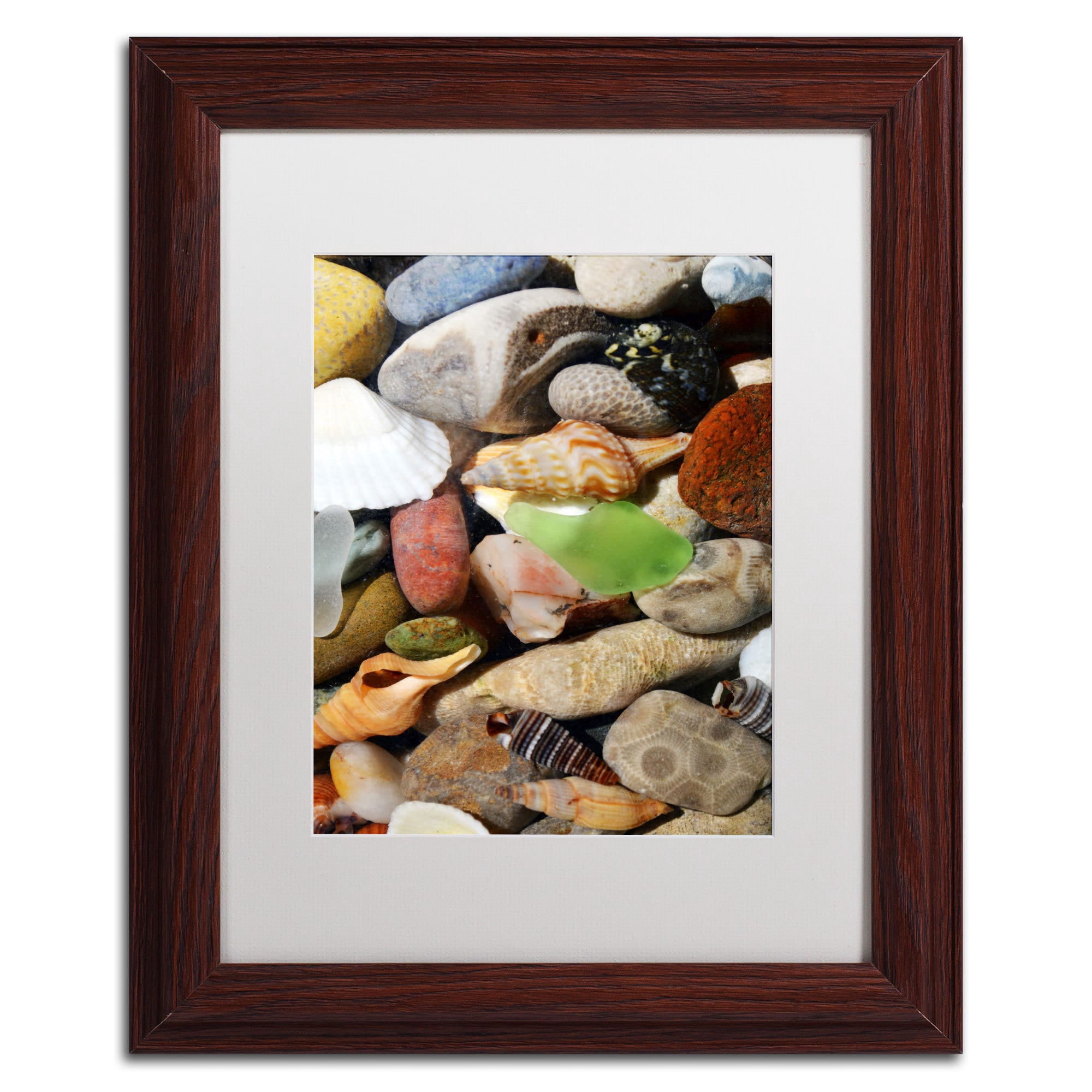 Trademark Michelle Calkins "Petoskey Stones l" Art White Matte With Black Frame 16" x 20"
