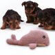 thumbnail image 5 of Juguete masticable para perros Colco ballena Squeaker chirriantes púrpura, 5 of 8