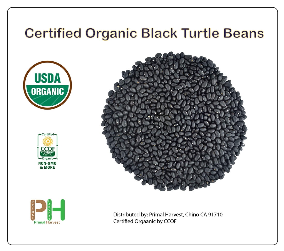 Organic Black Turtle Beans- Fiber & Protein rich, Raw, Non-GMO, Vegan Bulk-1LB
