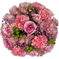 thumbnail image 2 of Tickled Pink by Arabella Bouquets Fresh Cut Flowers, 1 Multicolor Roses with Elegant, Wooden Vase, 2 of 5