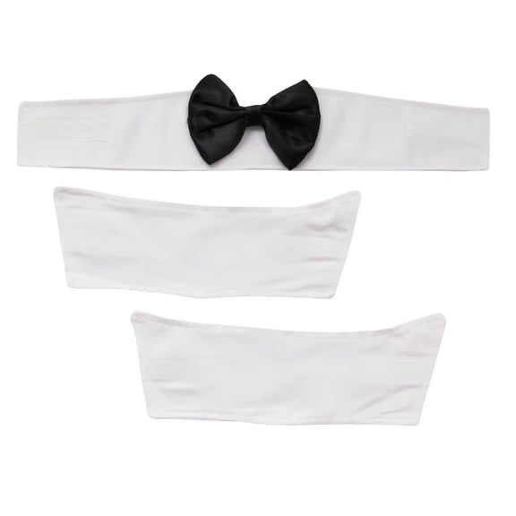 Collar and Cuffs Set Adult Halloween Accessory