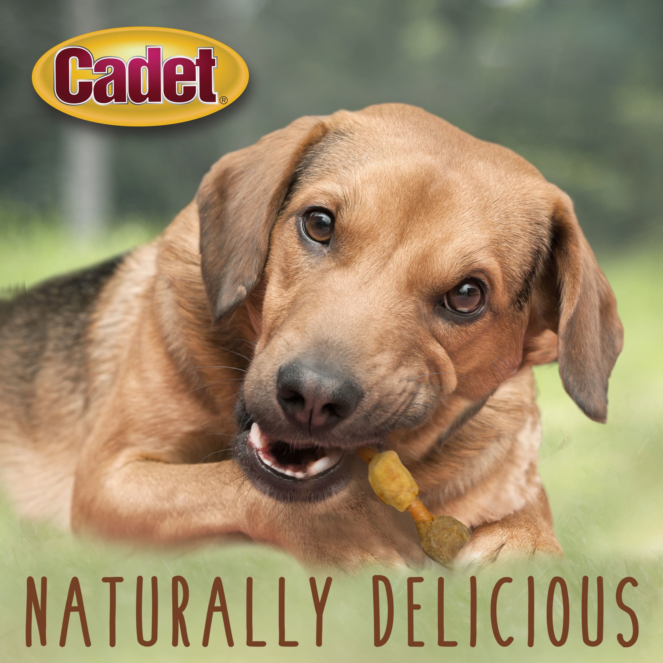 Cadet Gourmet Shish Kabob Dog Treats for Small Dogs, Chicken & Sweet Potato Dog Chews, 5 Inch, 24 Ounce