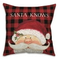 thumbnail image 2 of Creative Products Santa Knows on Plaid 18x18 Spun Poly Pillow, 2 of 2
