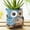Blue, variant on Quoowiit Resin Owl Rocking Chair Plant Pots, 4.5" with Drainage Holes for Small Succulents