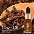 thumbnail image 2 of Old Tree Pure and Natural Clove Bud Essential Oil (15ml), 2 of 4